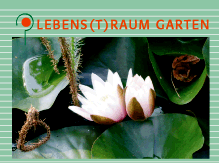 Lebens(t)raum Garten
